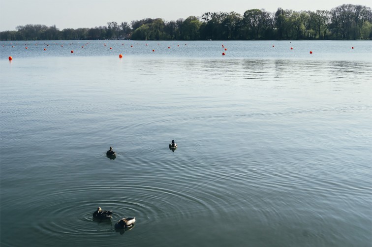 Maschsee | 25h in Hannover, Stilnomaden